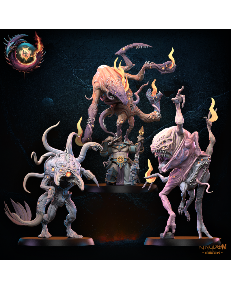 Nukuja Forsworn (x3) - Warriors of the Dark Gods - TTRPG - Wargaming - Dungeons and Dragons