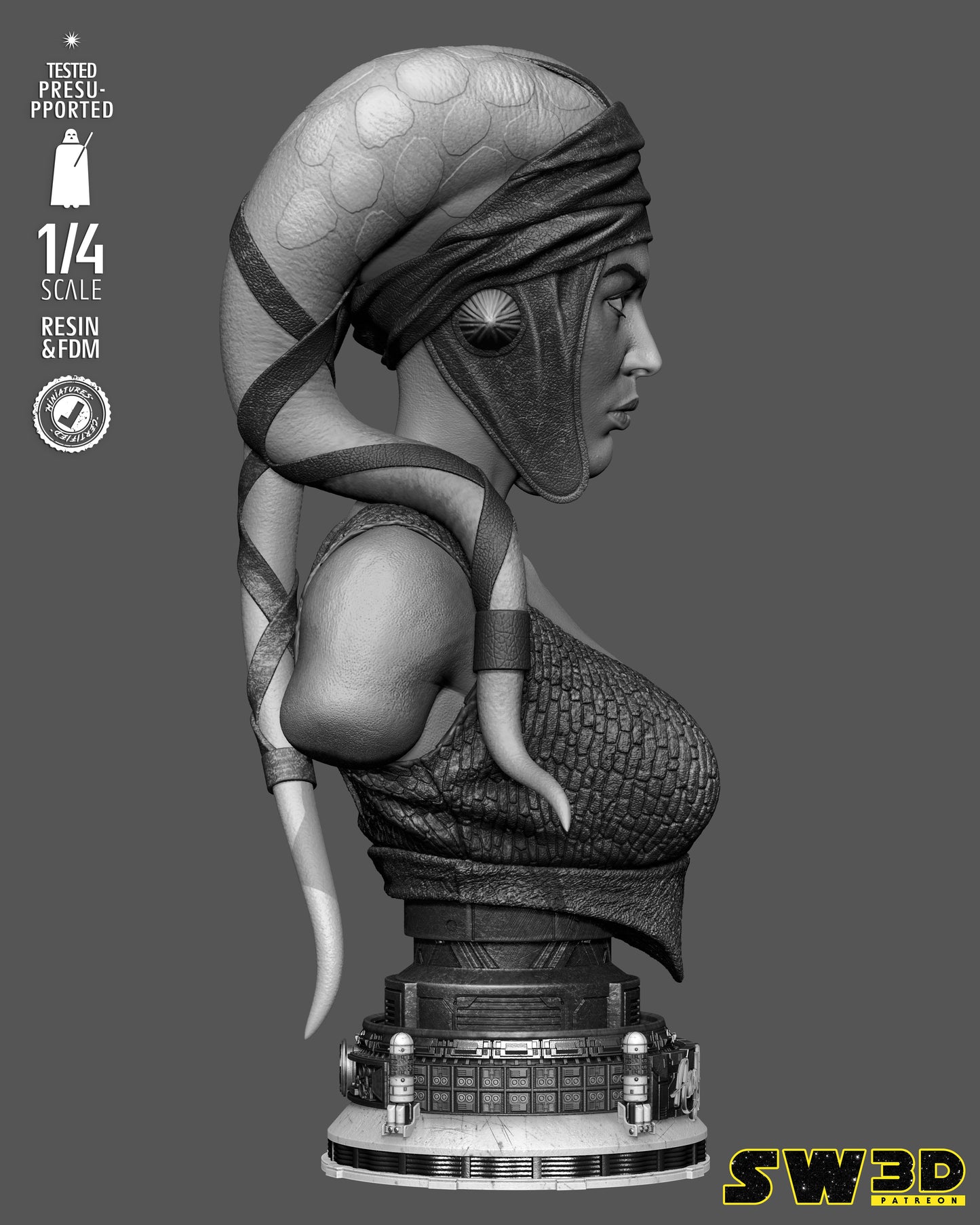 Aayla Secura Bust (75mm to 300mm) Stranger Things - Unassembled/Unpainted/3D Print