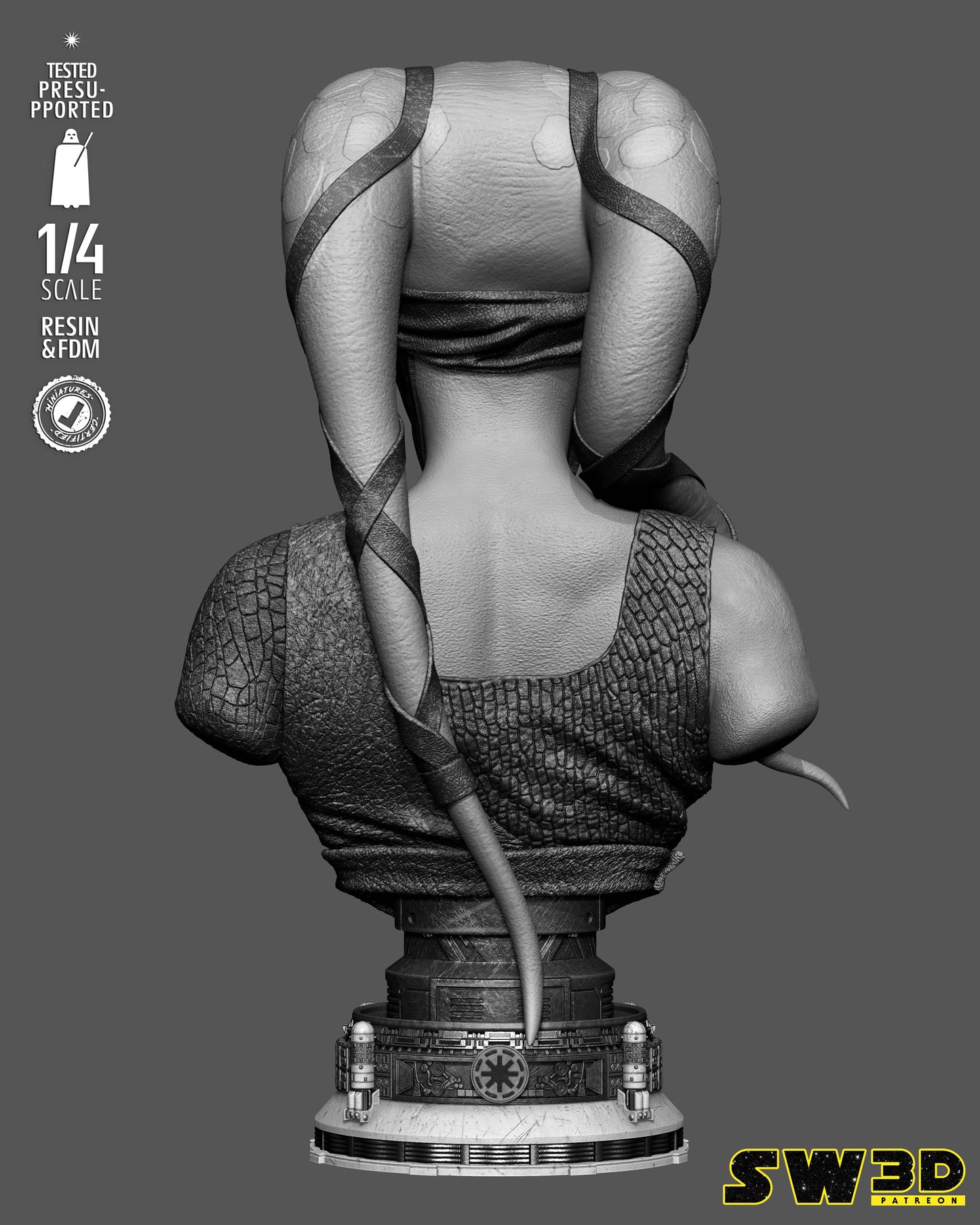Aayla Secura Bust (75mm to 300mm) Stranger Things - Unassembled/Unpainted/3D Print