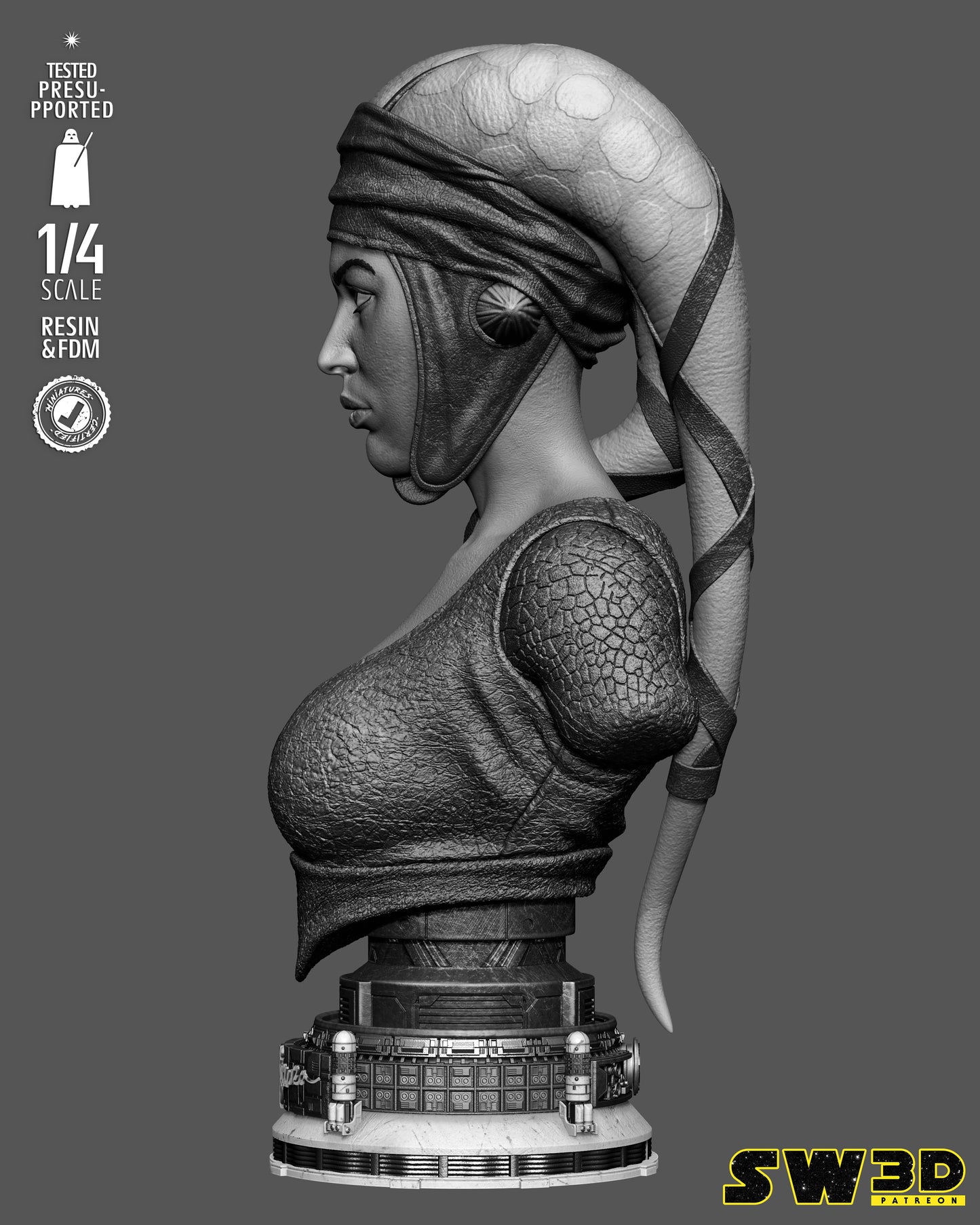 Aayla Secura Bust (75mm to 300mm) Stranger Things - Unassembled/Unpainted/3D Print