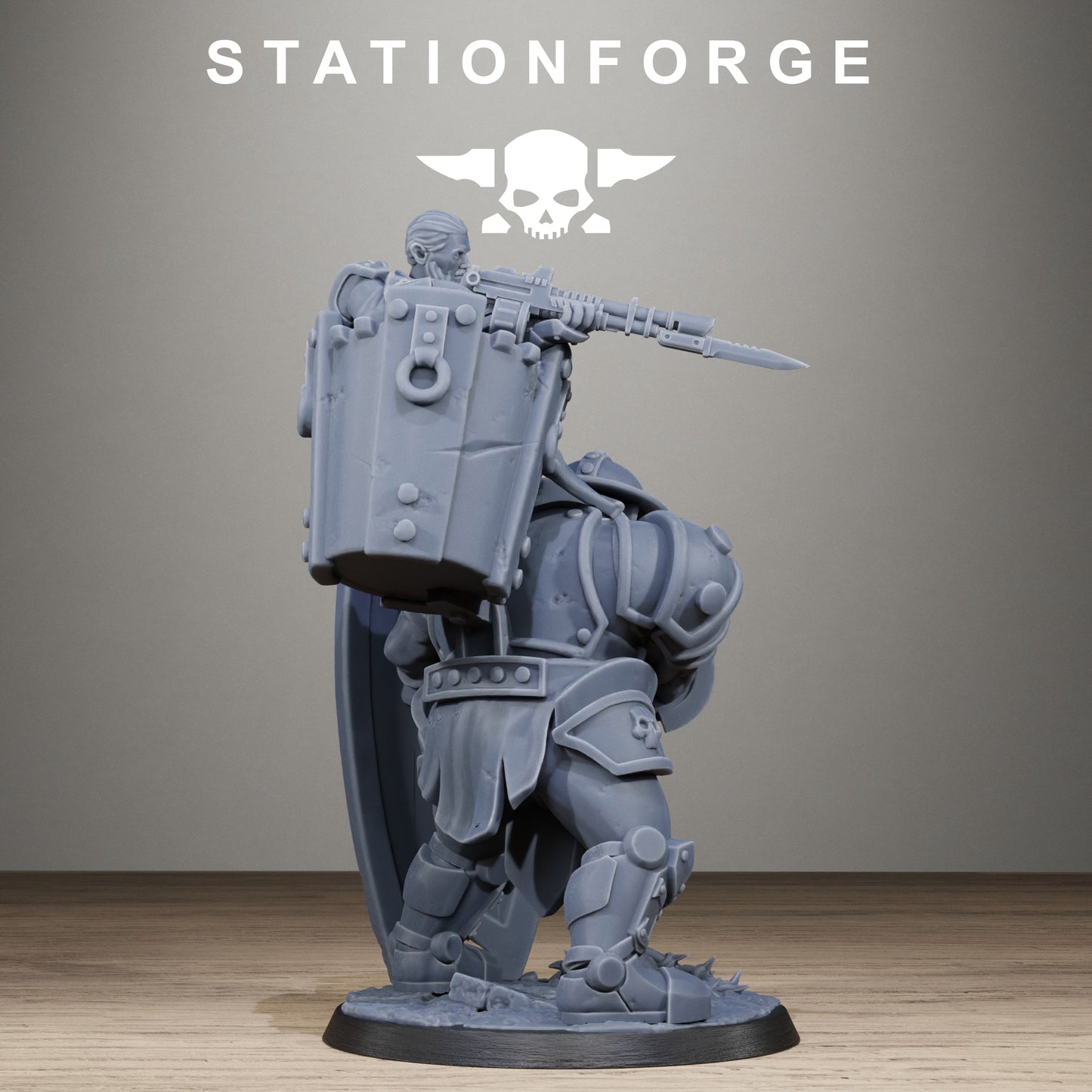 RoyalGuard Shield Bearer (x2) - TTRPG - Wargaming - Grimdark