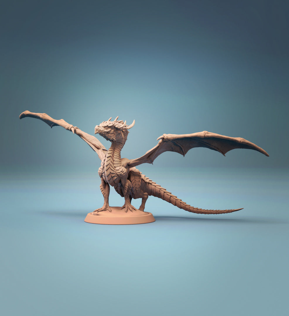 Baby dragon - by Lord of Print- Tabletop RPG Miniature - Roleplaying 3D Printed Fantasy Mini