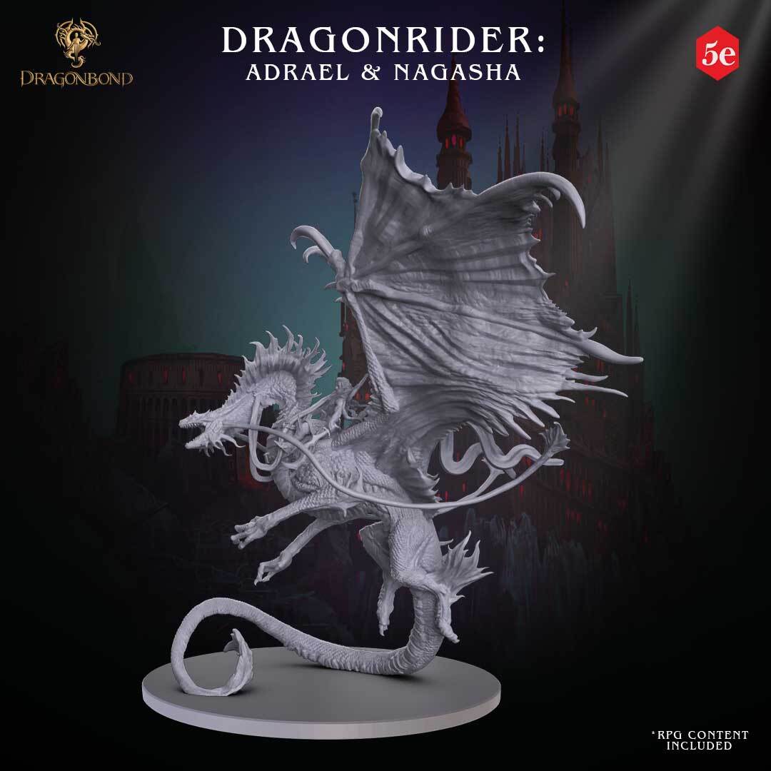 Dragonrider General: Adrael & Nagasha - Dungeons and Dragons - by Draco Studio - Tabletop RPG Miniature - Roleplaying 3D Printed Fantasy Mini