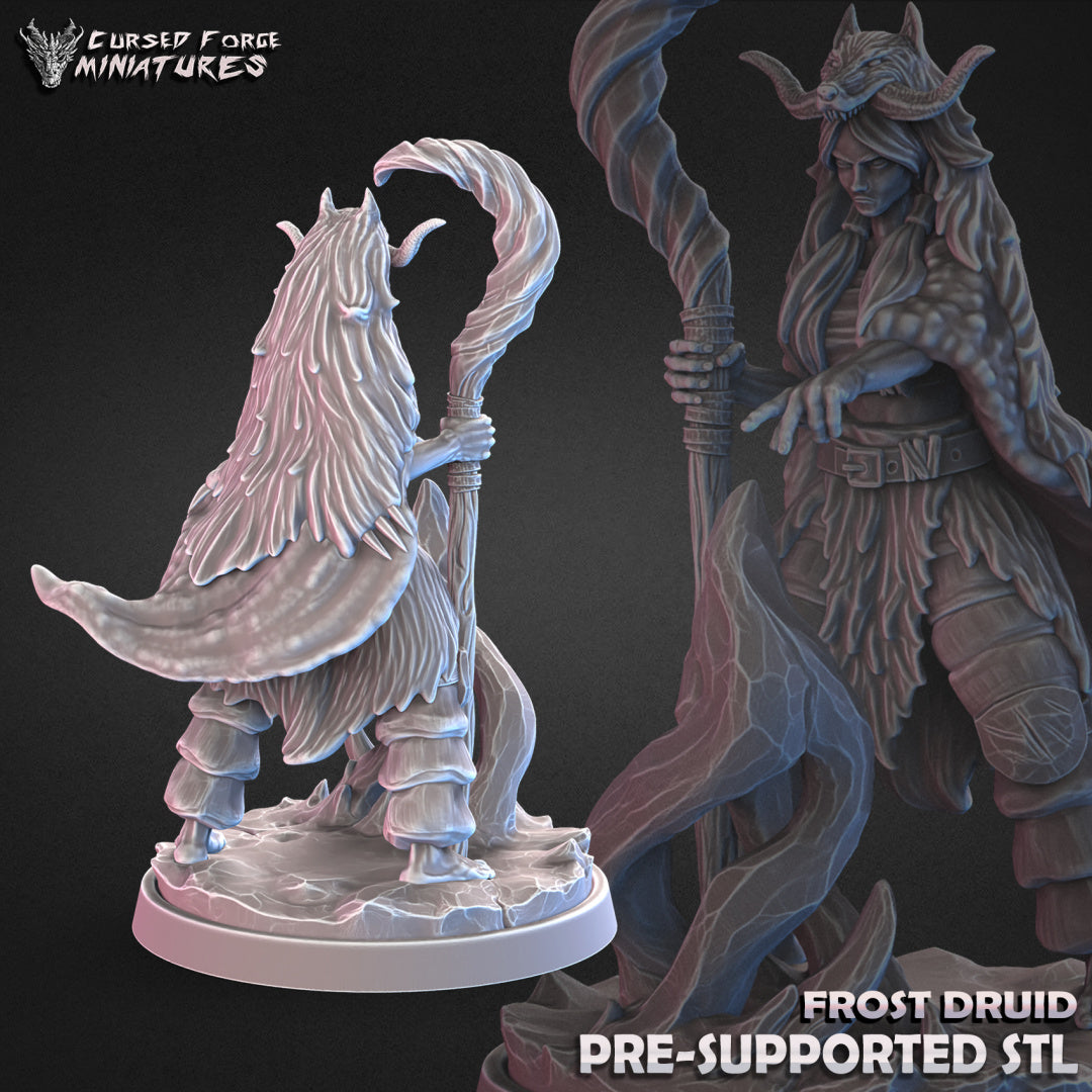 Frost Druid Conjurer - RPG Miniatures - by Cursed Forge - Tabletop RPG Miniature - Roleplaying 3D Printed Fantasy Mini