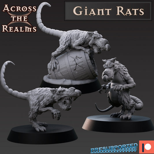 Giant Rats - by Across the Realms- Tabletop RPG Miniature - Roleplaying 3D Printed Fantasy Mini