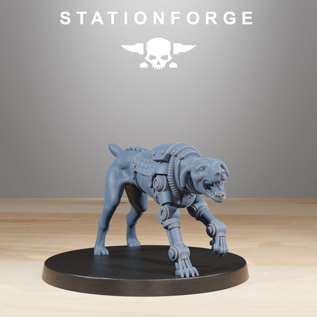 RoyalGuard Starfly - Compatible with Warhammer 40K - by Station Forge - Tabletop RPG Miniature - Roleplaying 3D Printed Fantasy Mini