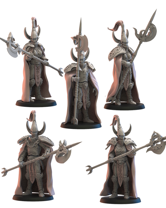 Garde de Hisui (x10) - Elfes de la nuit - JDR - Wargaming - Donjons et Dragons