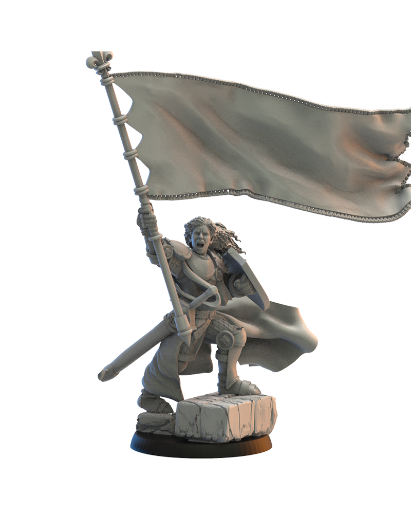 Mercia Standard on foot - Bretons - TTRPG - Wargaming - Dungeons and Dragons