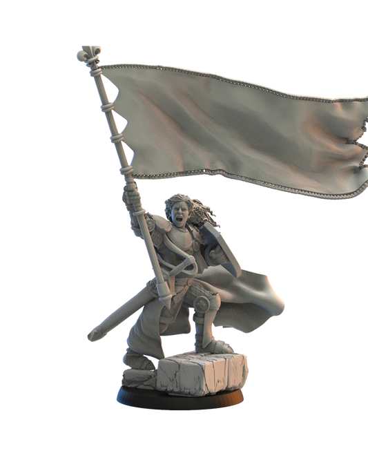 Mercia Standard on foot - Bretons - TTRPG - Wargaming - Dungeons and Dragons