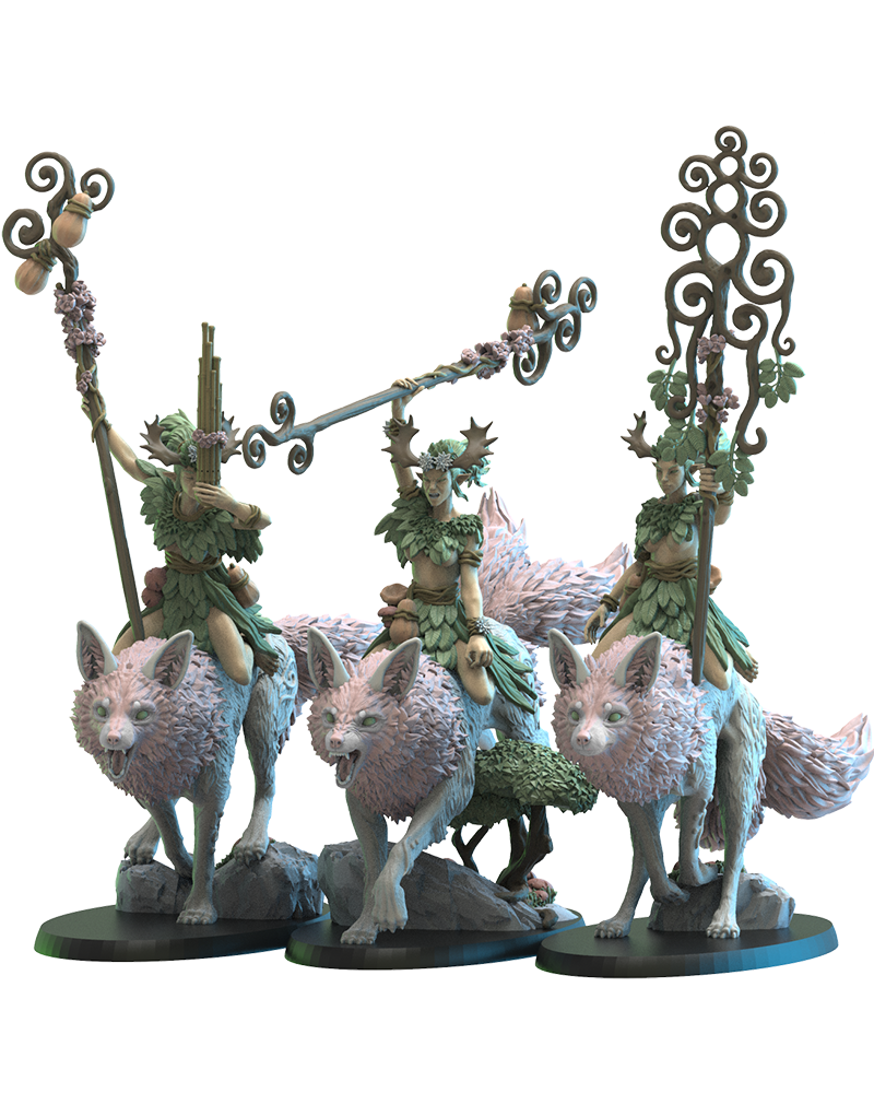 Nibi Riders CG (x3) - TTRPG - Wargaming - LOTR - Dungeons and Dragons