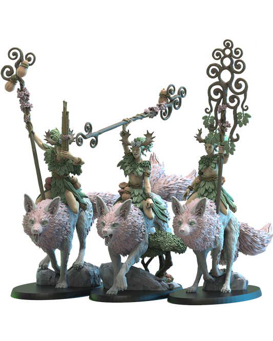 Nibi Riders CG (x3) - TTRPG - Wargaming - LOTR - Dungeons and Dragons