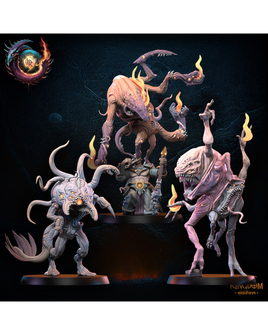 Nukuja Forsworn (x3) - Guerriers des Dieux Sombres - JDR - Wargaming - Donjons et Dragons