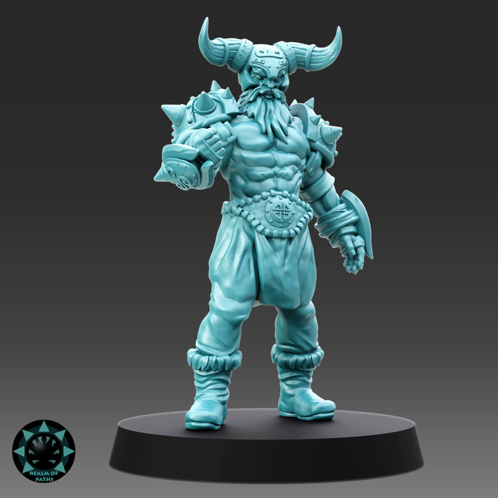 Norsemen - Brutal Drakkar Team (x15)- Viking Barbarian - Fantasy Football
