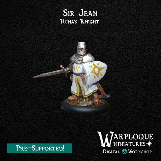 Sir Jean - Human Knight - TTRPG - Wargaming - Dungeons and Dragons