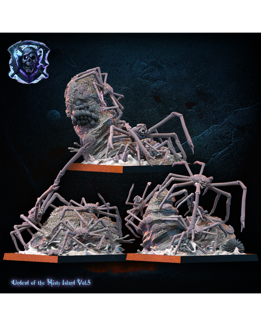 Essaims de crabes squelettes (x3) - Mort-vivant - JDR - Wargaming - Donjons et Dragons