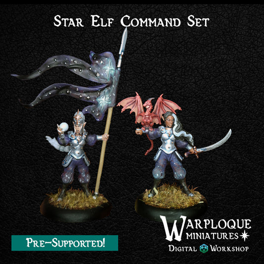 Star Elf Command (x2) - TTRPG - Wargaming - Dungeons and Dragons