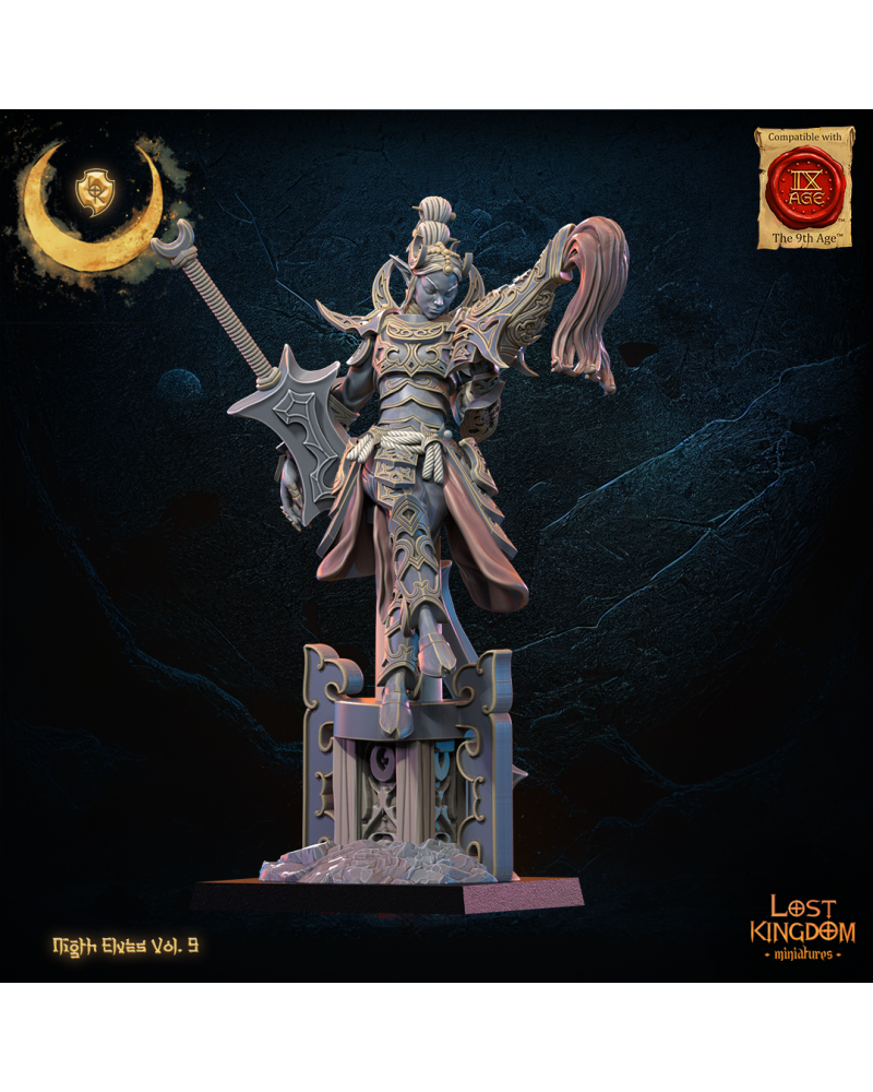 Yu Ming, Héroïne Tsurugi 1 - Elfes de la nuit - JDR - Wargaming - Donjons et Dragons